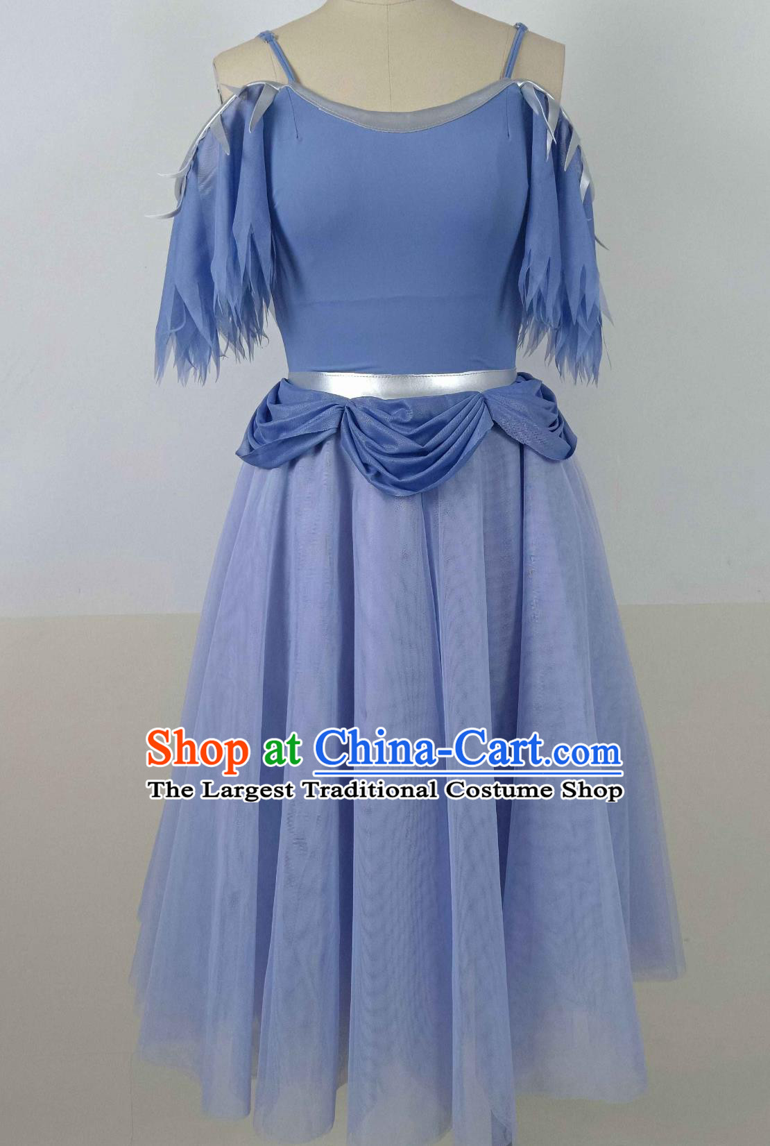 Top Ballet Dance Blue Dress Women Group Dance Costume Stage Performance Clothing