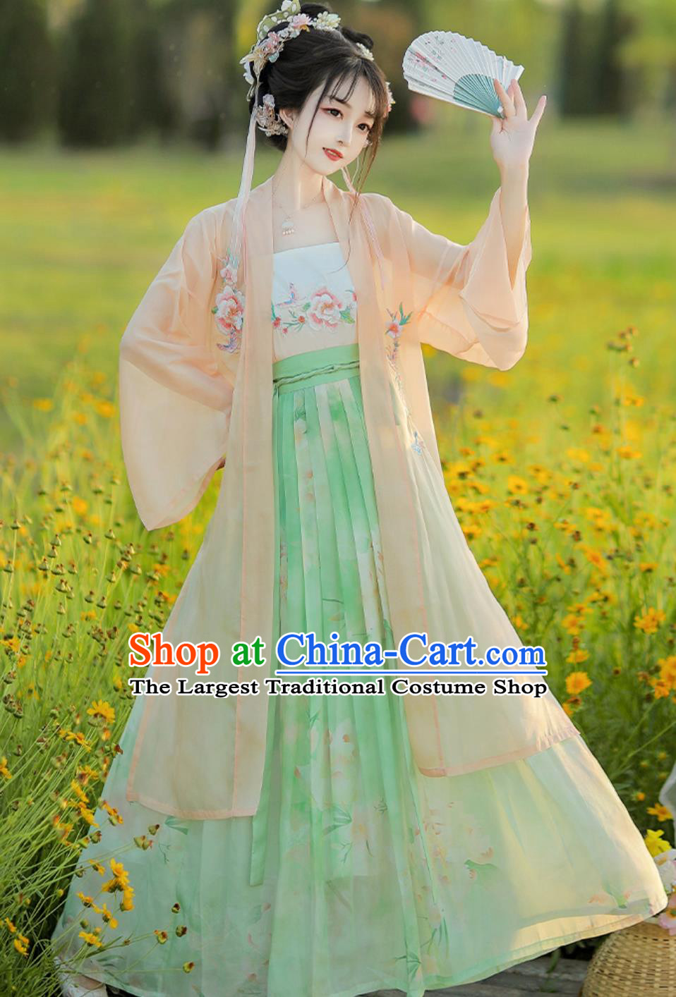 Chinese Song Dynasty Female Costume Ancient China Young Lady Clothing Traditional Hanfu Dress