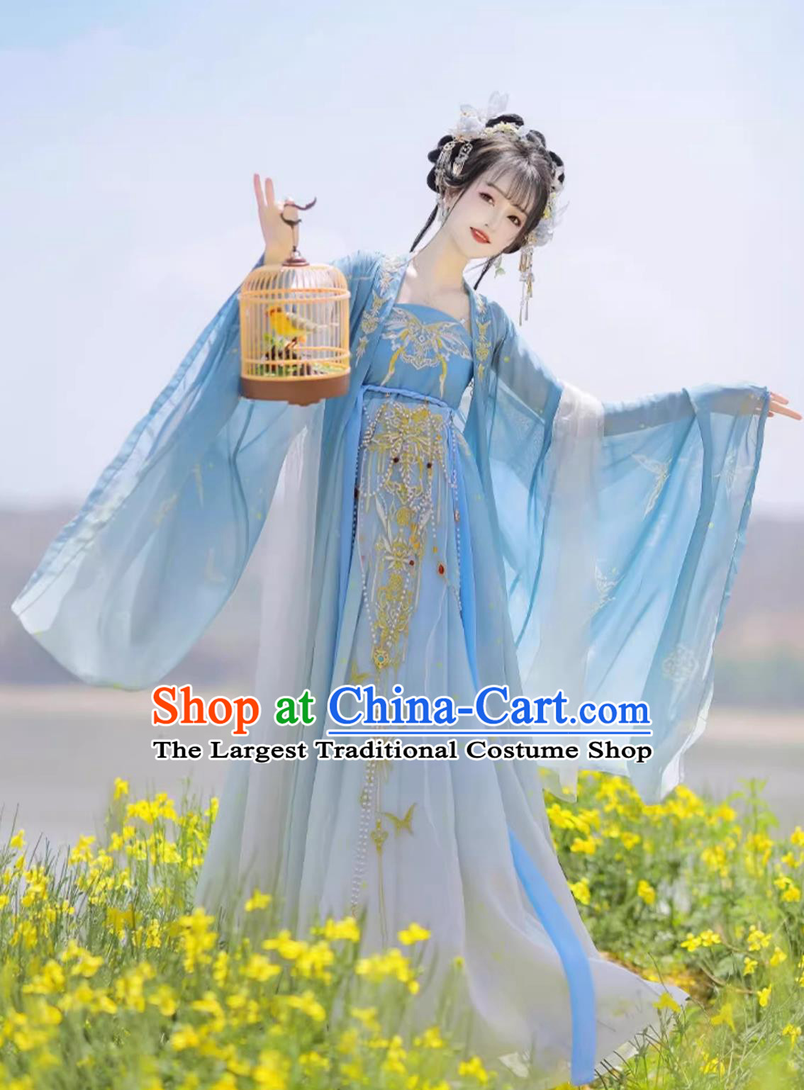 Traditional Chinese Blue Hanfu Dress Ancient China Princess Costume Tang Dynasty Court Lady Clothing
