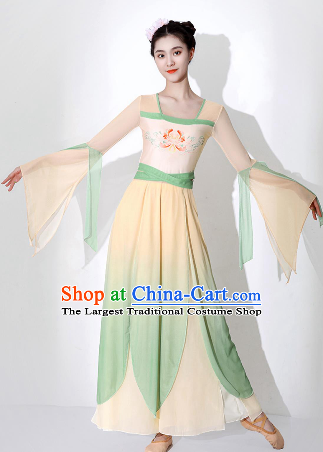 Chinese Stage Performance Fan Dance Dress Classical Dance Costume Woman Dance Exercise Clothing