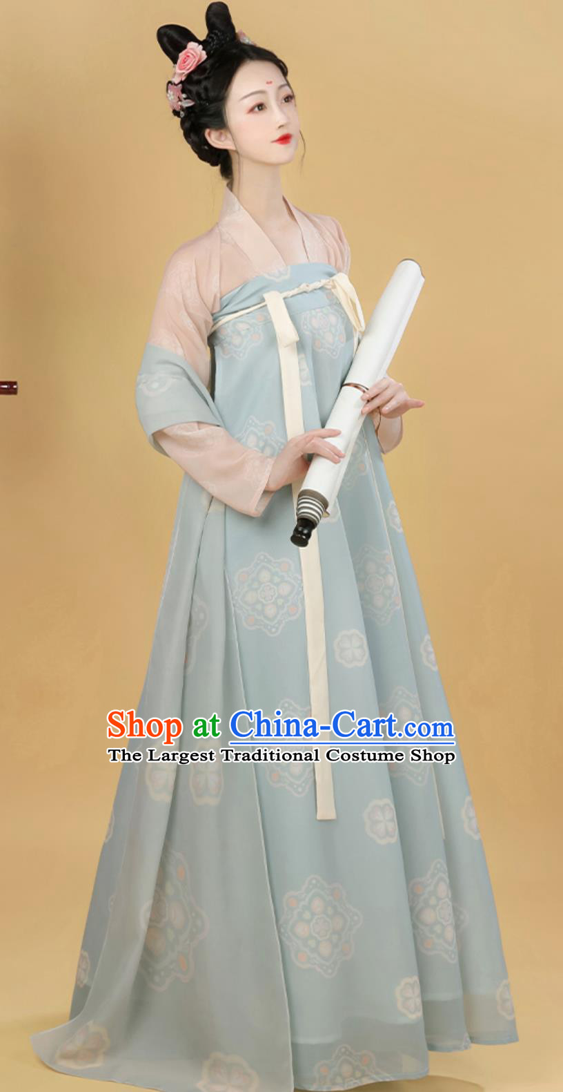 China Tang Dynasty Palace Lady Costume Traditional Hanfu Dress Ancient Chinese Clothing
