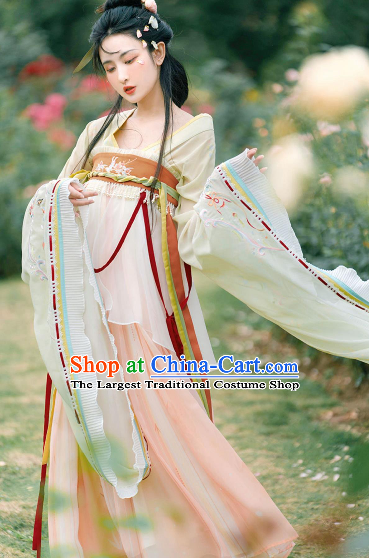 Traditional Hanfu Ancient China Fairy Clothing Chinese Southern and Northern Dynasties Princess Dress