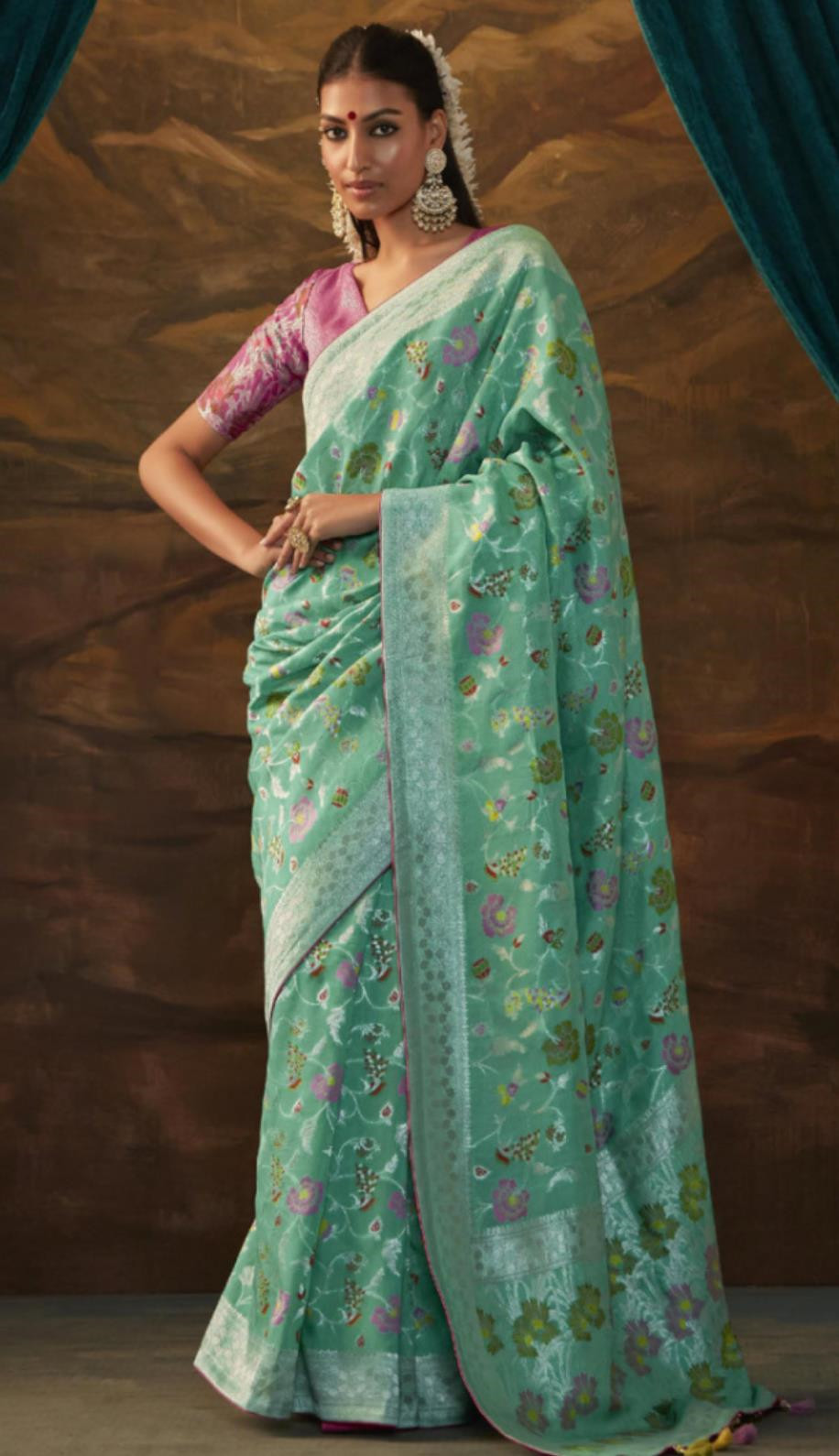 Indian Traditional Clothing Woman Festive Dress India National Sari