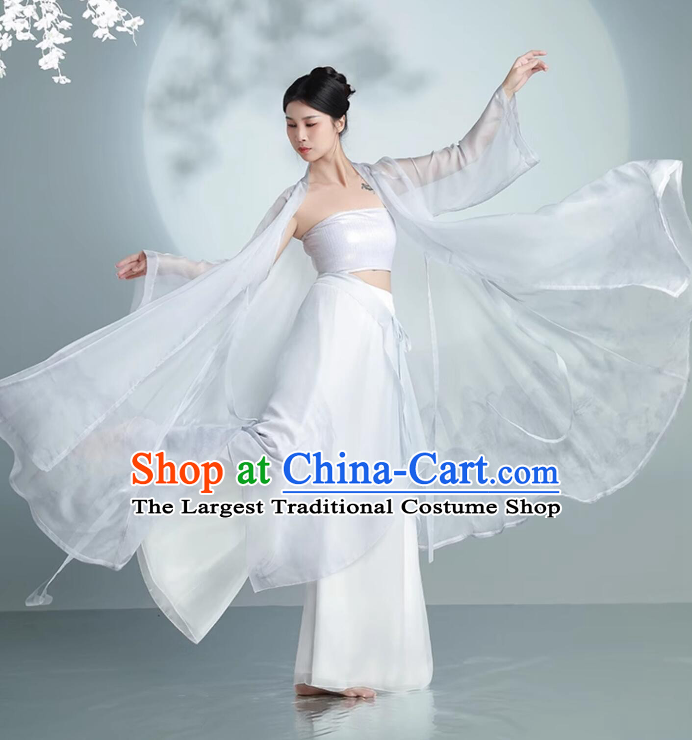Chinese Traditional Dance Clothing Classical Dance Silver Outfit Women Group Dance Costume