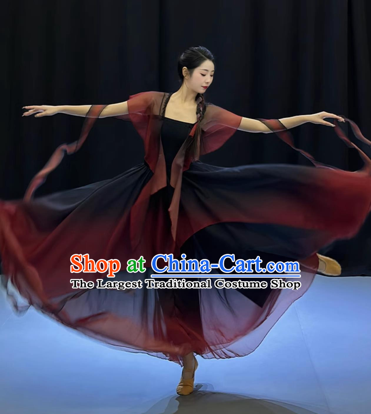 Traditional Chinese Dance Costume Women Solo Dance Clothing Classical Dance Black Butterfly Dress