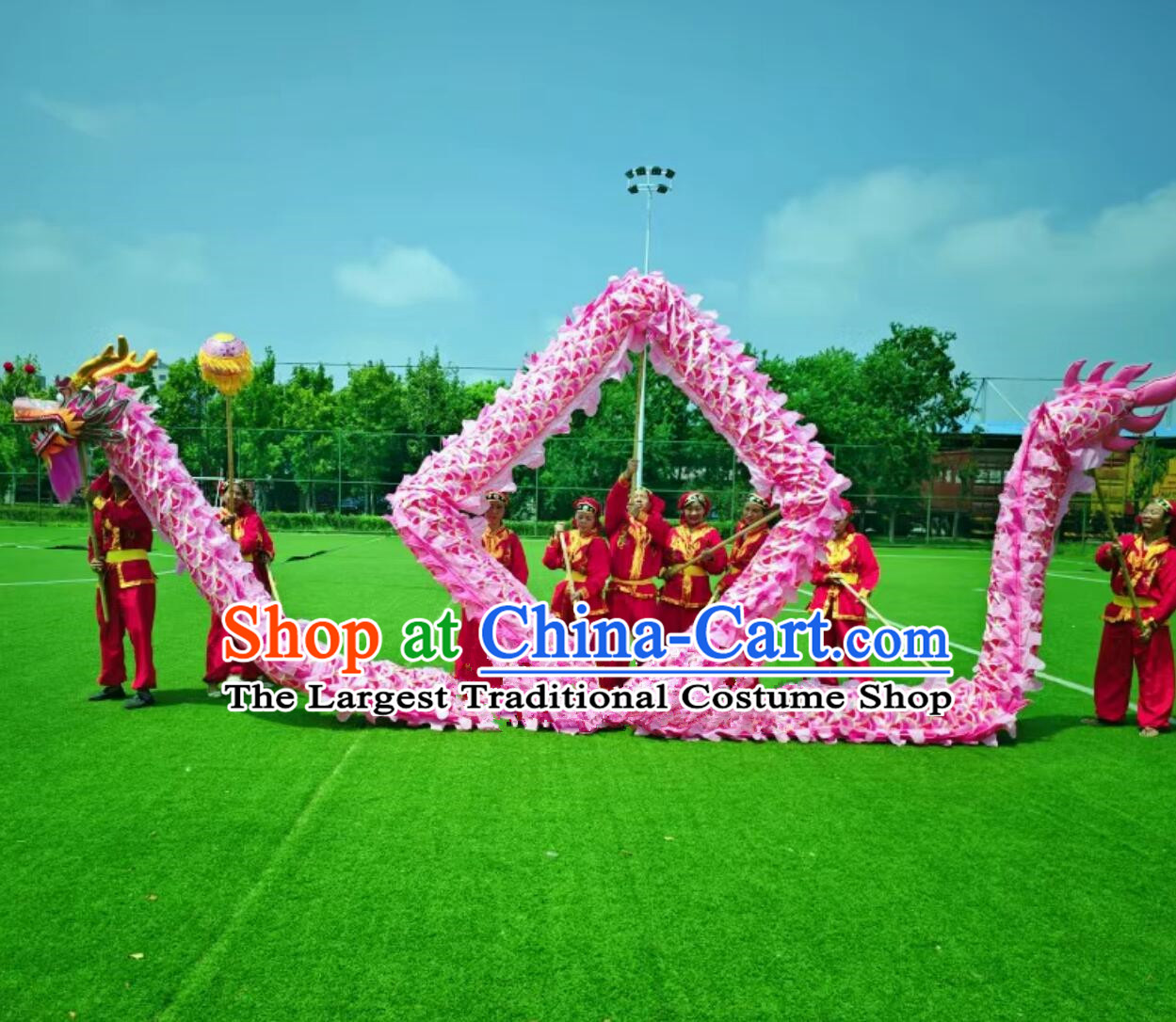 Pink Chinese Dancing Dragon Props Spring Festival Dragon Dance Dragon Head and Costumes Complete Set