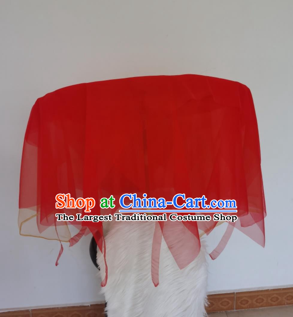 Chinese Folk Dance Red Veil Umbrella China Classical Dance Prop Handmade Dance Umbrella