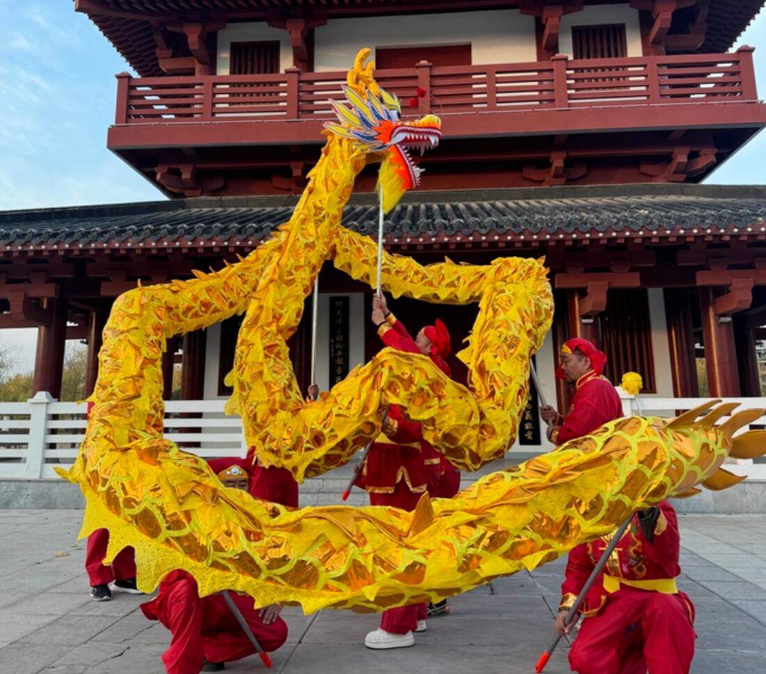Golden Professional Lantern Festival Celebration Dragon Parade Equipment Chinese Traditional Dragon Dance Costumes Complete Set