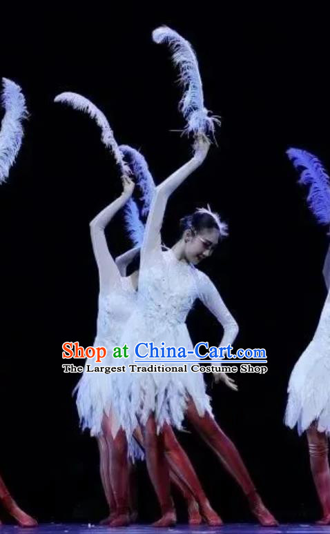 Xiao He Feng Cai Dance Costume Children Group Dance Feather Dance Costume Swan Dance Dress
