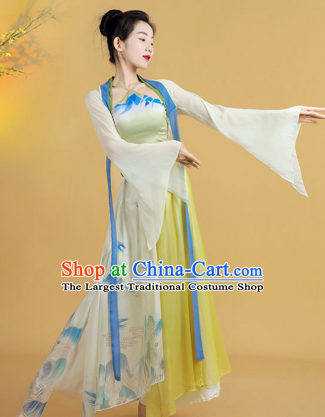 Children Classical Dance Costume Women Elegant Chiffon Chinese Style Ethereal Practice Wear Art Exam Ethnic Performance Outfit