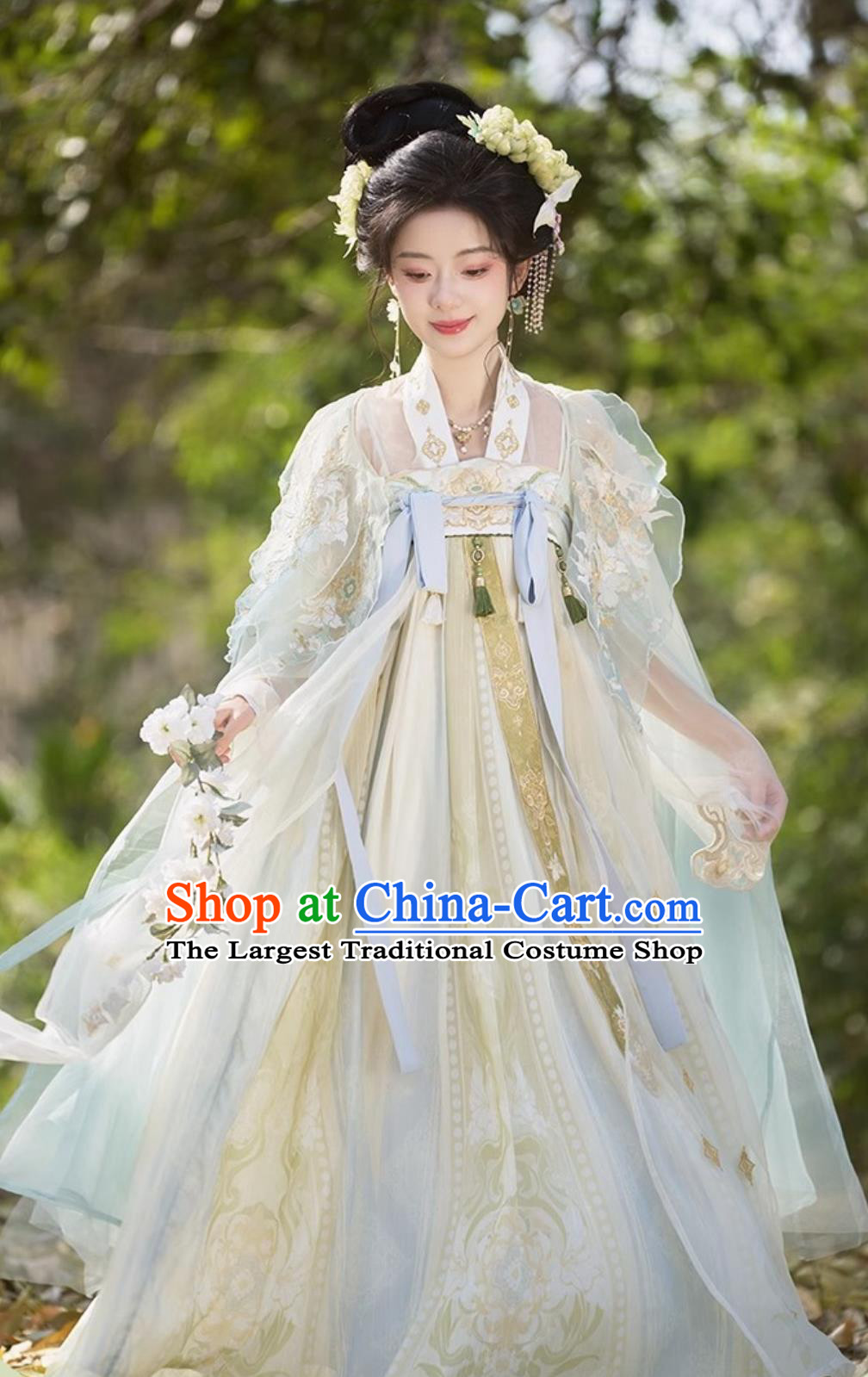 Hanfu Women Doupeng Embroidery High Waist Ruqun Dress Chinese Tang Dynasty Style Clothing