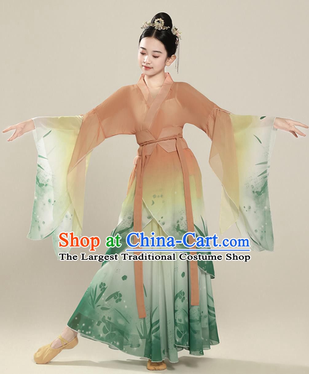 Classical Dance Performance Costume Elegant Chinese Ancient Style Wide Sleeve Dance Chiffon Dress