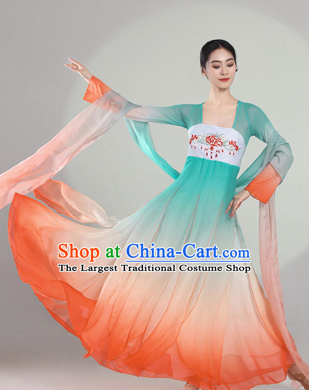 Classical Dance Performance Costume Women Elegant Chinese Style Chiffon Dress Dance Practice Wear Koi Fish Continuous Years Dance Costume