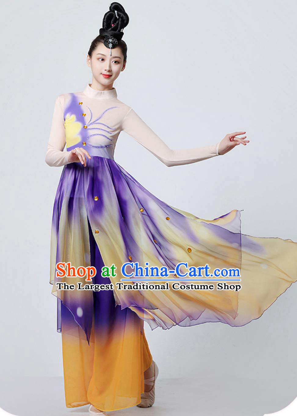 Chinese Dance Costume Women Butterflies Art Exam Fan Outfit Classical Dance Dress