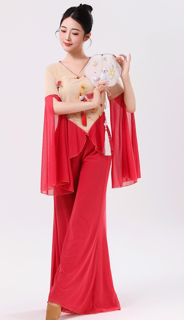 Chinese Dance Practice Wear Performance Outfit Classical Dance Women Chiffon Top Flared Pants Set