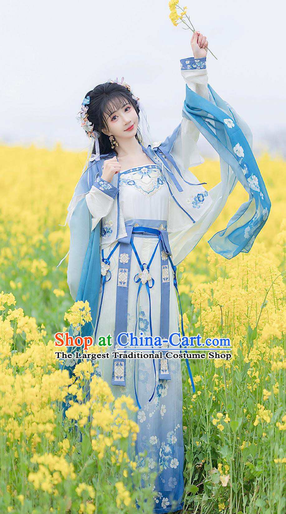 Chinese Song Dynasty Hanfu Women High Waist Skirt Top and Blouse Ancient Fairy Blue Dress