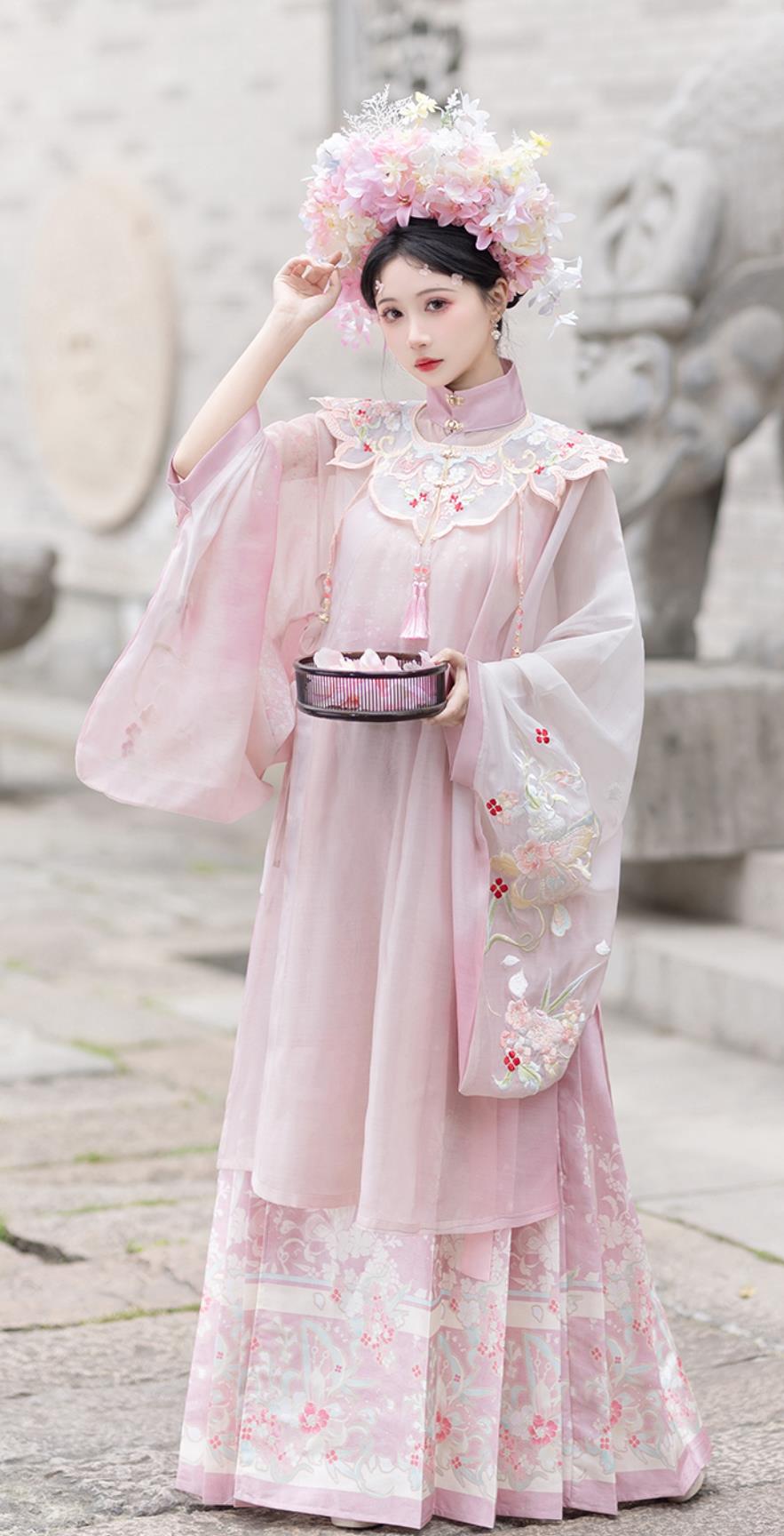 Traditional Chinese Attire Ming Dynasty Hanfu Women Cloud Collar Long Gown Horse Face Skirt Complete Set