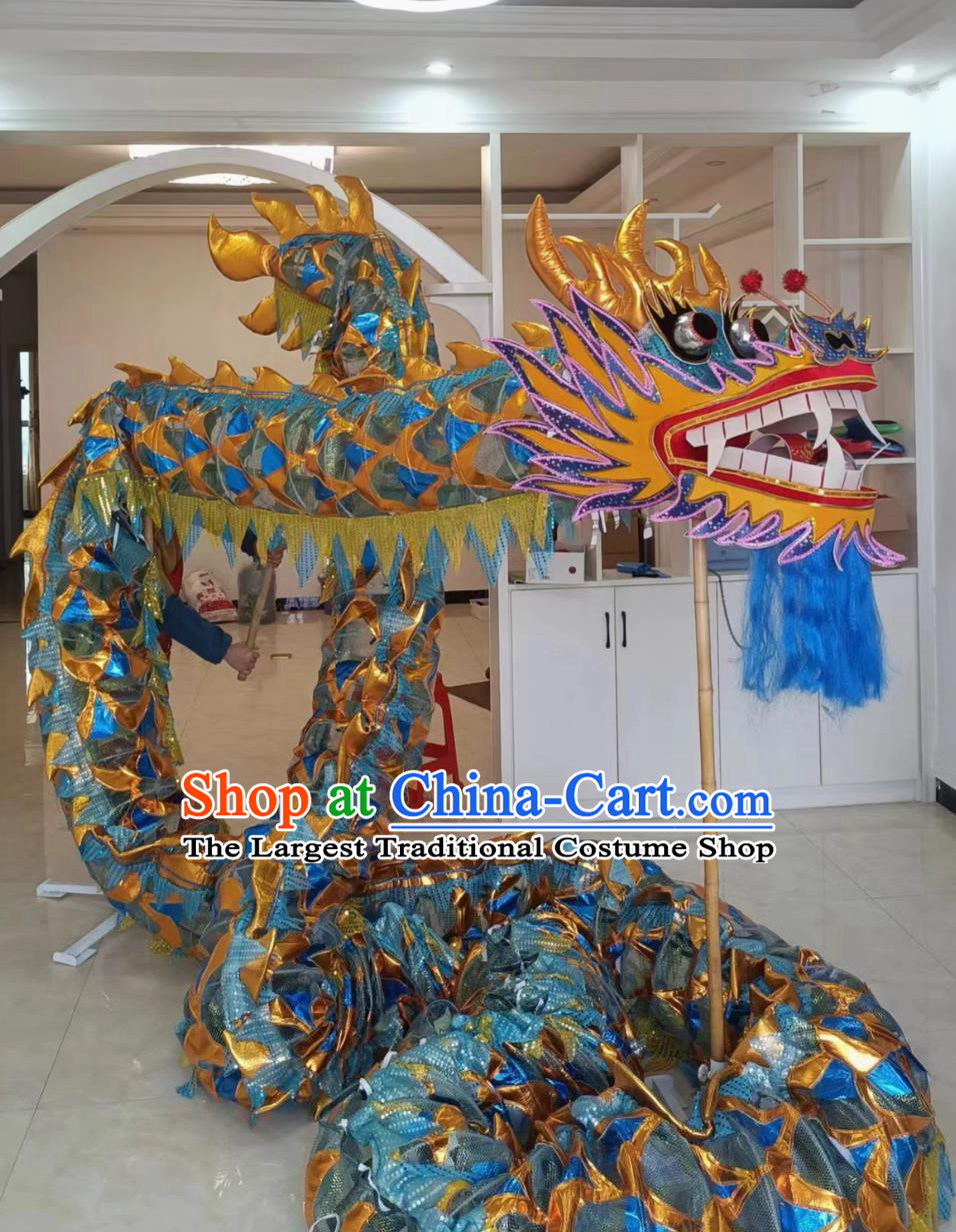 Blue International Dragon Dance Costume Net Dragon Chinese Dragon Dance Training Equipment Set