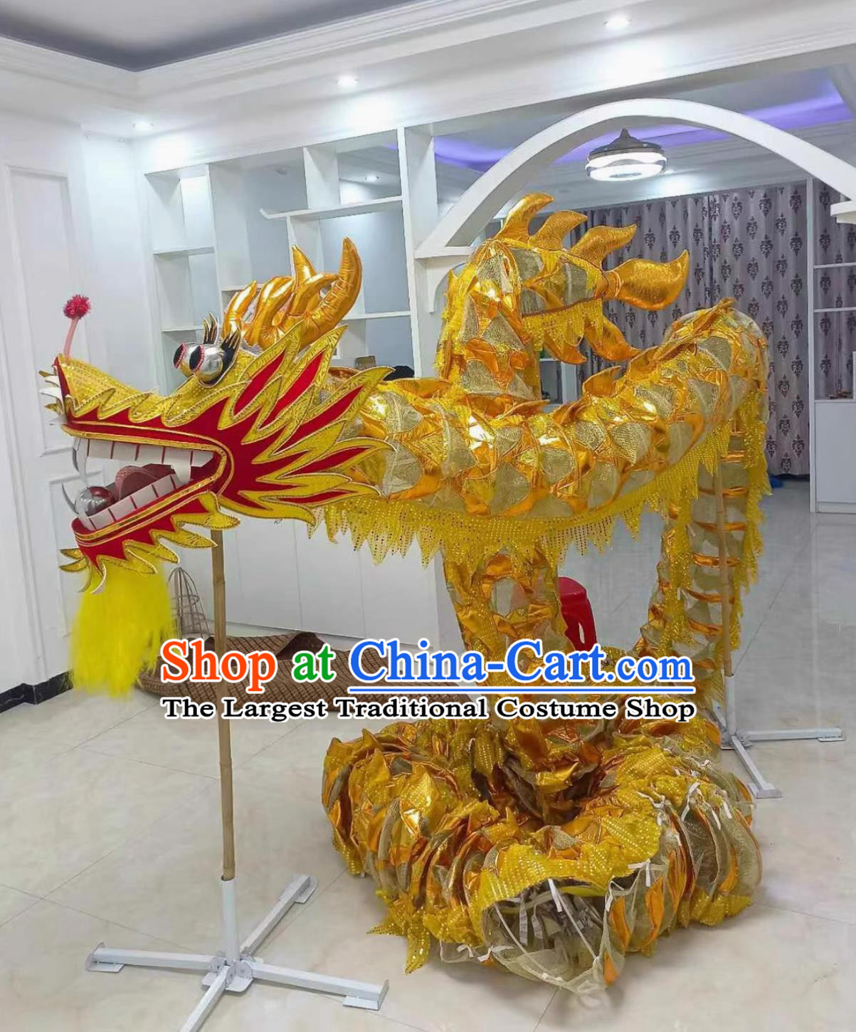 Golden International Dragon Dance Costume Net Dragon Chinese Dragon Dance Training Equipment Set