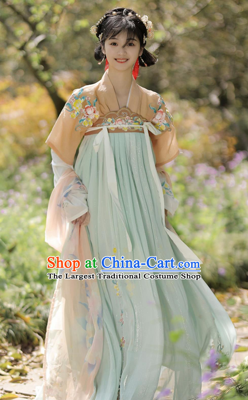 Chinese Qi Xiong Ru Qun Traditional Tang Dynasty Hanfu Ancient Women Costume
