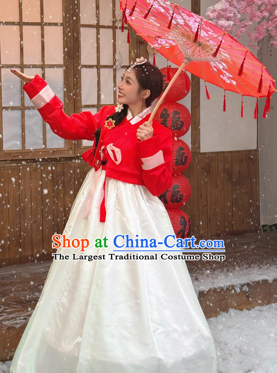 Yanji Princess Blouse and Dress Set Korean Hanbok Ancient Style Ethnic Attire