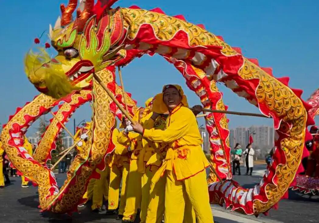 Henan Traditional Dragon Dance Prop Chinese Festival Dragon Dance Equipment Golden Dragon Costume Complete Set