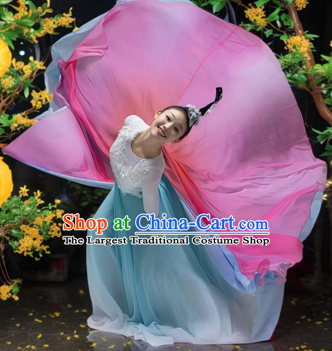Chinese Classical Dance Performance Costume Women Chiffon Dress Fan Dance Attire Modern Dance Outfit