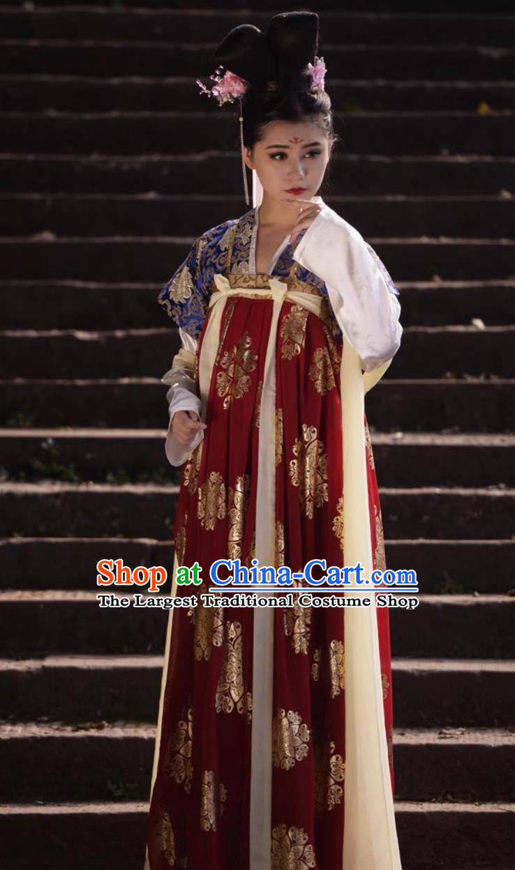 Half Sleeve Chinese Tang Dynasty Qixiong Ruqun Traditional Chinese Hanfu Dress