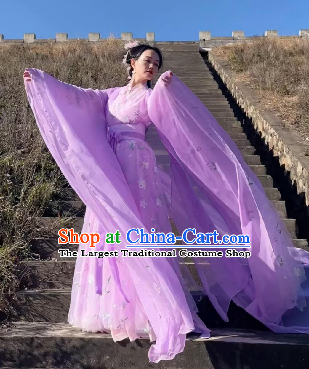 Traditional Wide Sleeve Hanfu Embroidered Purple Dress Ancient Chinese Fairy Daxiu Clothing