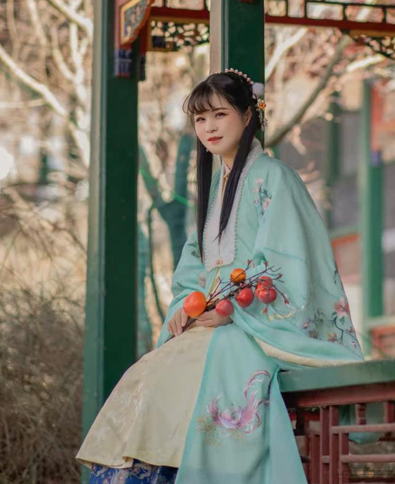 Ming Dynasty Phoenix Wisteria Hanfu Cape Ancient Chinese Embroidered Green Cloak