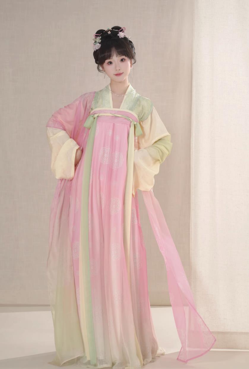 Tradtional Tang Dynasty Beizi High Waisted Ruqun Chinese Hanfu Complete Set