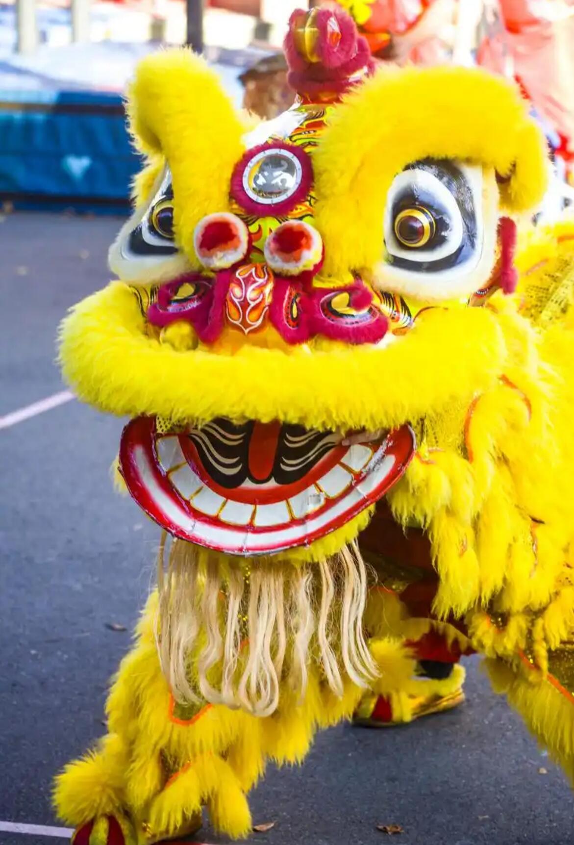 Yellow Wool Handmade LED Lights Mirror Hok San lion Head Chinese Festival Celebration Equipment Traditional Lion Dance Costume Complete Set