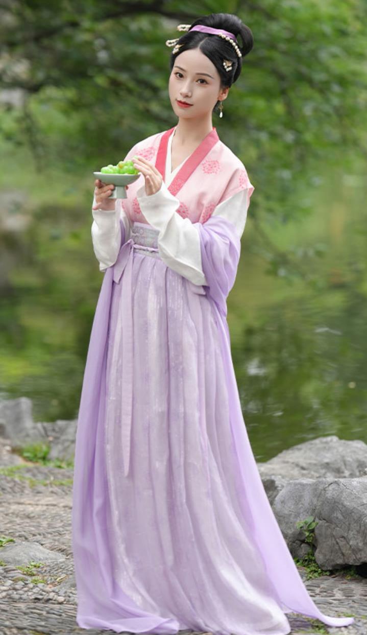 Traditional Chinese Hanfu Ancient Noble Woman Clothing Song Dynasty Silk Jiaoling Waistcoat Blouse Ruqun Set